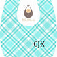 Ginghams Checkered Plaid Teal Bibs
